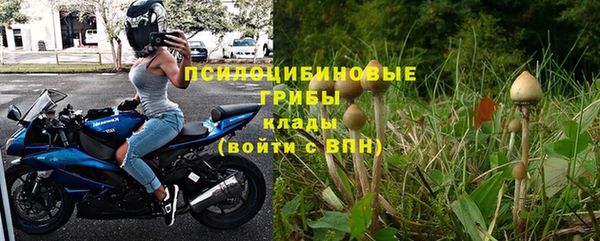 стафф Белокуриха