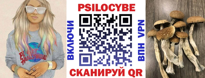 Псилоцибиновые грибы мицелий  нарко площадка состав  Наволоки 