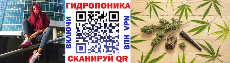 Конопля LSD WEED  цены   Наволоки 